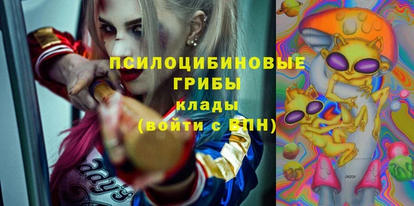 jwh Бородино