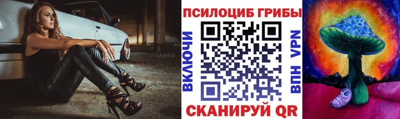 Купить  Печоры  Галлюциногенные грибы MAGIC MUSHROOMS 